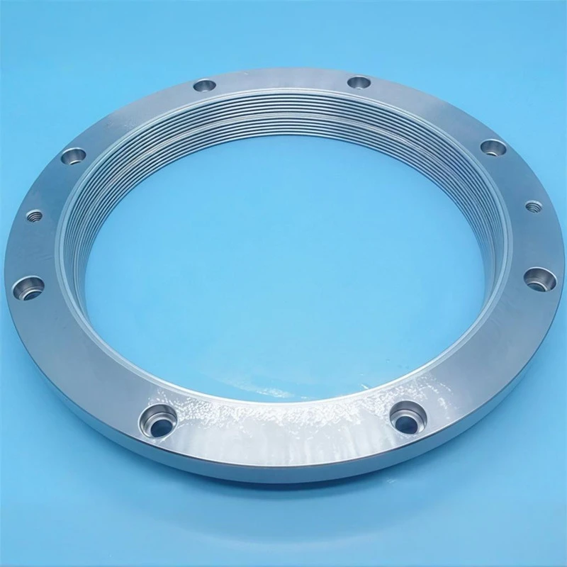 Babbitt{0}}bélelt Steps Seal